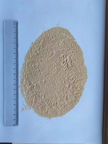 Dobavitelji čebule v prahu